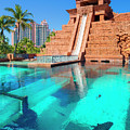 Bahamas, Paradise Island, Caribbean Sea, Atlantic Ocean, Caribbean, Atlantis Resort Aquaventure Water Park