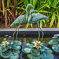 Bronze Water Sculptures Of Birds
