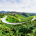 Veneto, Prosecco Road, Italy